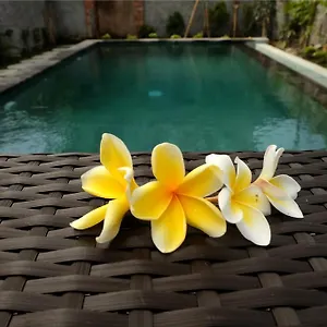 Maison d'hôtes Eka Bali